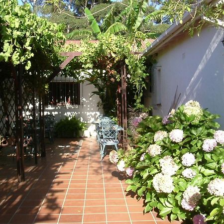 Vine Guesthouse Stellenbosch Exterior foto