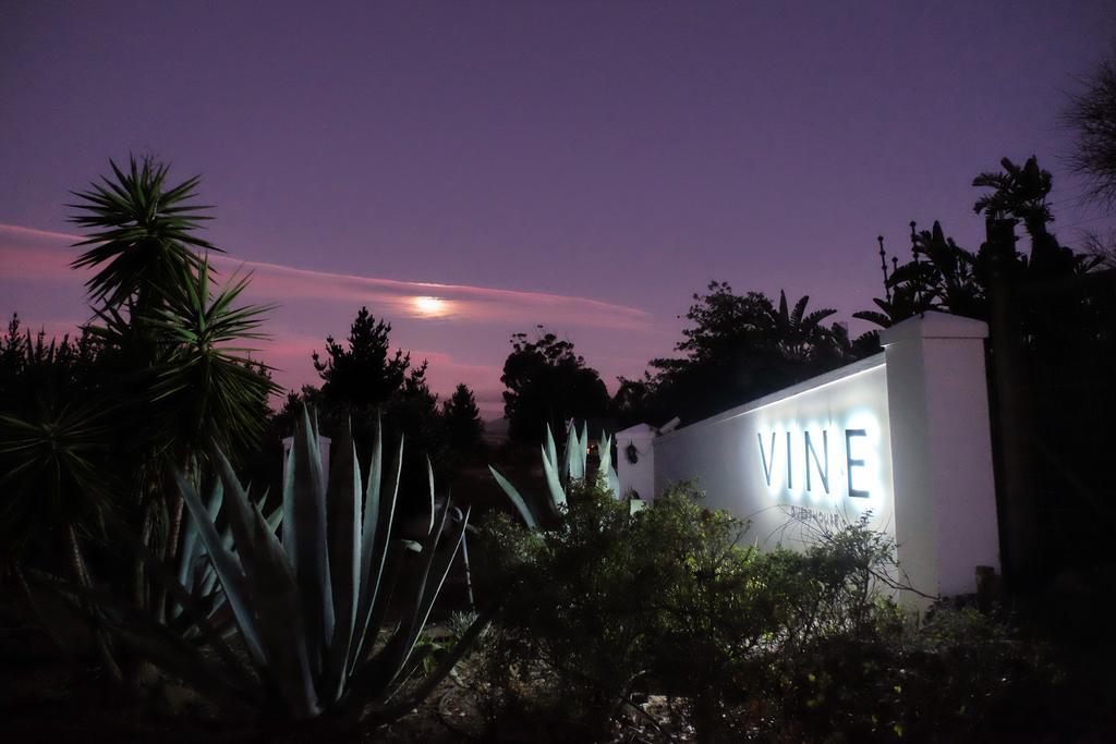 Vine Guesthouse Stellenbosch Exterior foto