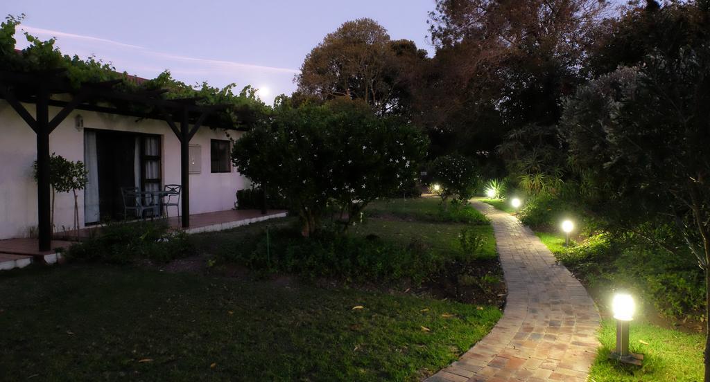 Vine Guesthouse Stellenbosch Exterior foto